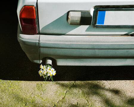 Retro car with a bouquet of flowers in the tailpipe. 