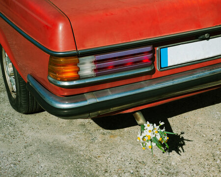 Red retro car with a bouquet of flowers in the tailpipe. 