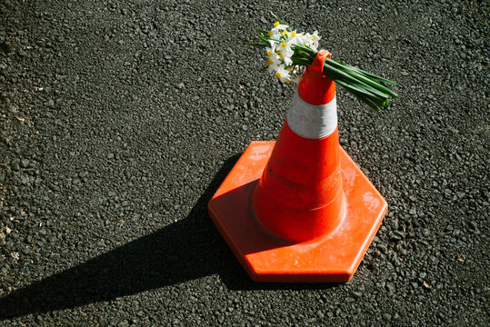 Spring bouquet of "Daffodils" in a traffic cone near the road.
