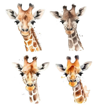Watercolor giraffe sketch, baby standing, texture cartoon paper, stretch graphic jungle realistic drawing, painting watercolor, orange art exotic design, skin color artwork image