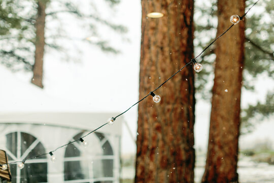 String Lights
