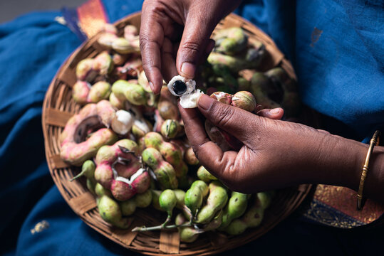 Manila Tamarind