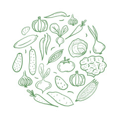 Fresh vegetables circle shape pattern for coloring book. Doodle healthy food mandala coloring page. Hand drawn print with corn, pumpkin, tomato, broccoli, etc. Vector illustration