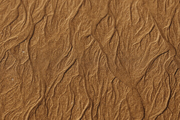 Desert Sand Patterns