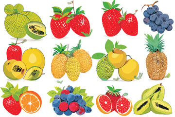 Vector set of exotic fruits and berries (strawberry, grape, orange, pineapple, grapefruit) with green leaves isolated on a white background.