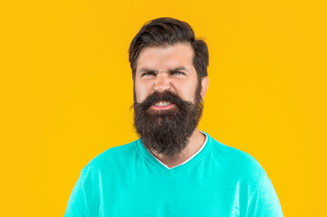 angry bearded man isolated on yellow. bearded man in studio. bearded man