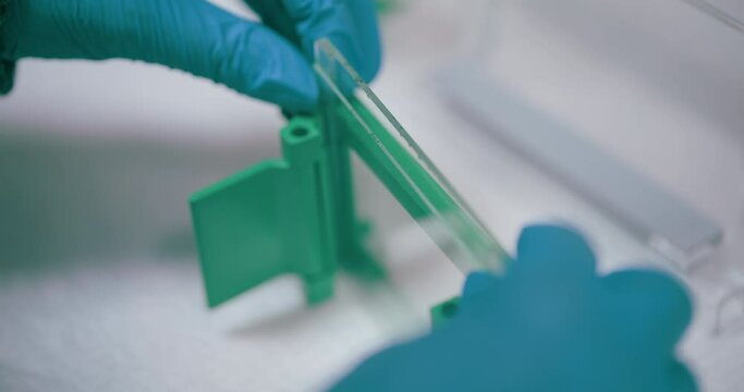 Scientist Working in Medical Laboratory Cancer Research Covic 19 Pandemic