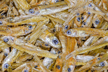 Anchovy small dried fish in bulk close-up, uniform texture background