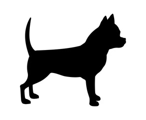 Dog breed illustration. Black silhouette Chihuahua Dog.
