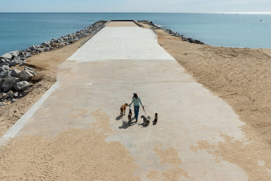 Dog Walker by the coastal breakwater aerial view