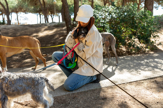Dog sitter morning walk outdoor