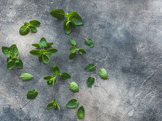 Fresh mint leaves for the background