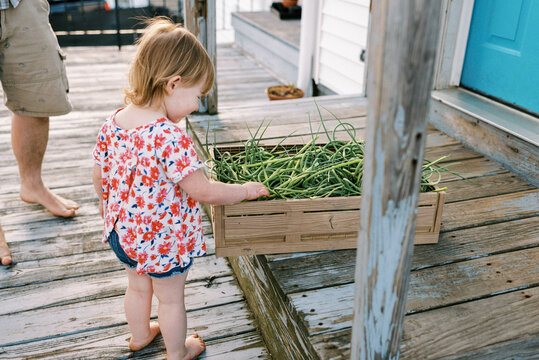 father sitting on porch with his daughter, doing farm chores together