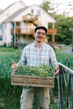 Farmer in garden at home holding basket of hardneck garlic scapes