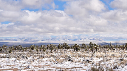 Snow covered desert landscape