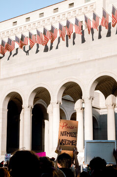 Protest Sign that Reads "Please Normalize Vasectomies" 