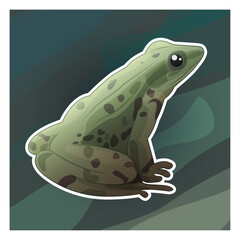 Illustration grenouille verte avec des tâches	
