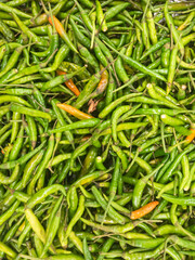Green Chili pepper pile at organic vegetable market. 