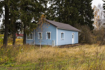 Fototapeta na wymiar Small cozy blue house in the forest under tree