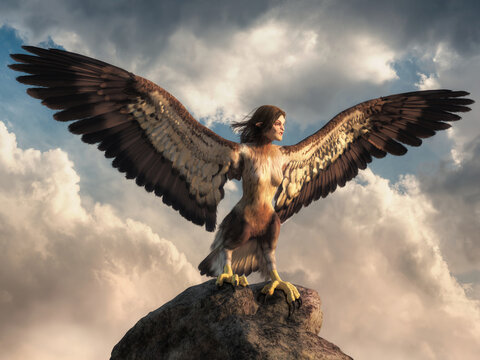 A harpy is a creature from Greek and Roman mythology, a monster with a woman's head and a bird's body. Harpies symbolize storm winds. 3D Rendering.
