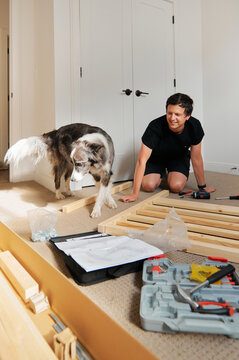 Man with dog assembling a bed in an apartment 