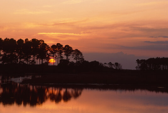 ACE Basin Ashepoo River wetlands spring sunrise South Carolina