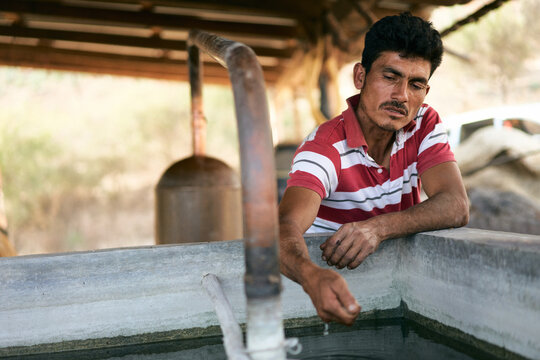 Mexican man distilling mezcal