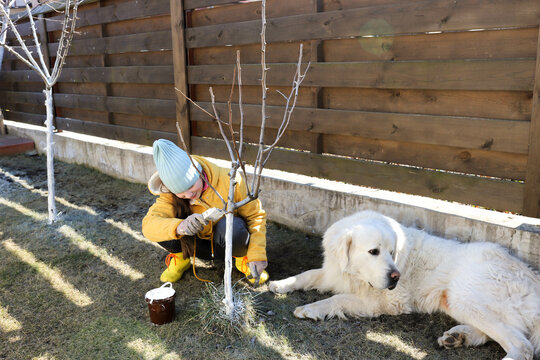 spring work in the yard with my dog