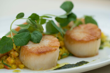 Scallops and Greens