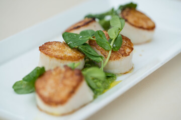 Scallops, on a plate
