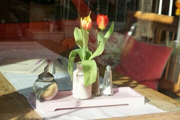 Innenausstattung mit Tisch und weißem Tischläufer, Zucker- und Salzstreuer  und rot-gelbe Tulpen in weißer Vase vor rotem Kissen auf brauner Holzbank in Restaurant bei Sonne am Abend im Frühling