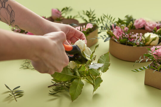 Flowers arranged into cardboard boxes by woman.