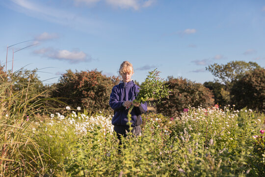 Woman preparing flower bouquet in field
