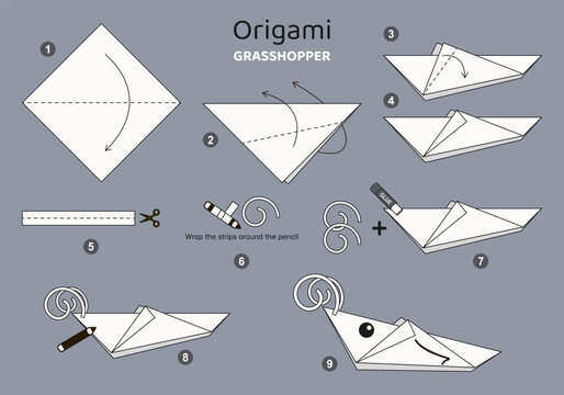 Origami tutorial for kids Origami cute grasshopper