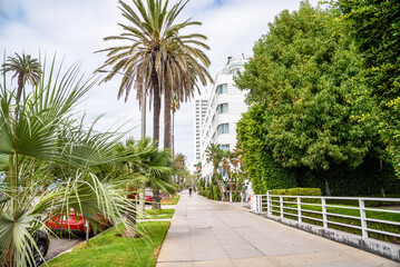 Obraz premium Sidewalk lined with palm trees in Santa monica, CA, on a partly cloudy autumn morning.