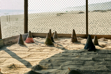 sea turtles nesting preservation camp