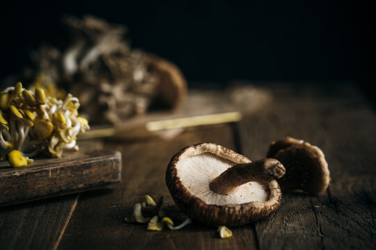 Shiitake Mushroom and Oyster Mushrooms