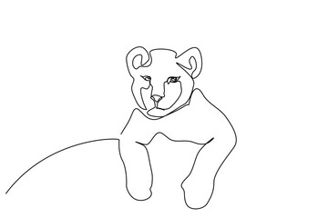young baby lion cub portrait line art