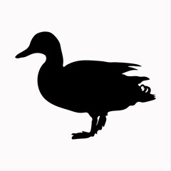 duck, duckling, black silhouette on a white background, farm, farm, nature, house, egg