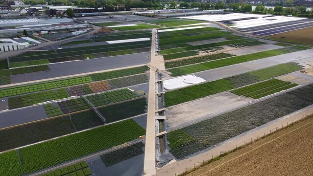 Drone shot of flower growing cultivation in Hamm in Dusseldorf, Germany, on the Rhein river with the city skyline in the back, sailboats, boats
