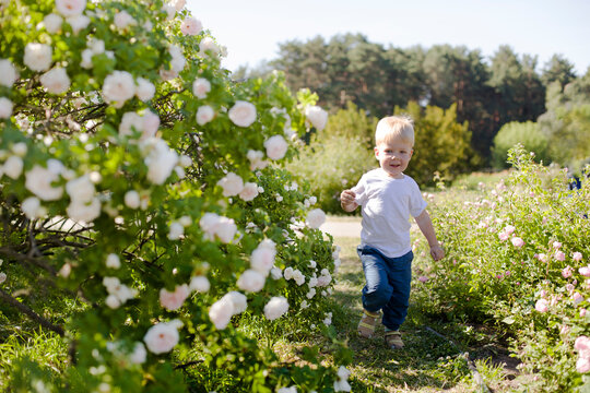 boy against spring nature background