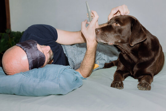 Man checks email and social media in bed and strokes his dog.