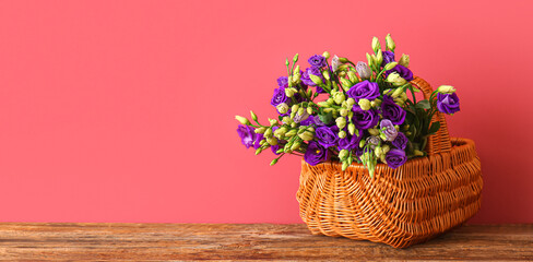 Basket with beautiful eustoma flowers on table near red wall. Banner for design