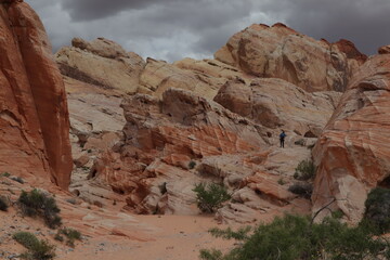 Fototapeta premium Hiking in Valley of fire in Nevada, USA