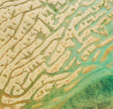 Ocean Reef Maze