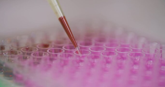 Scientist Working in Medical Laboratory Cancer Research Covic 19 Pandemic