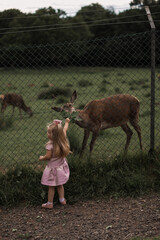 Child feeding wild deer at petting zoo. Kids feed animals at outdoor safari park. Little girl watching reindeer on a farm. Kid and pet animal. Family summer trip to zoological garden. Herd of deers.