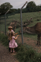 Kids feeding deer in a petting zoo farm.