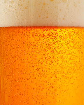 Beer Textures