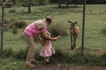 Exciting experience. Cute little girl watching and stroking young dappled deer with food while spending great time with her family in zoo. National Park. Animals